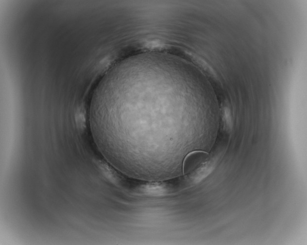 X0000113110668200908281410