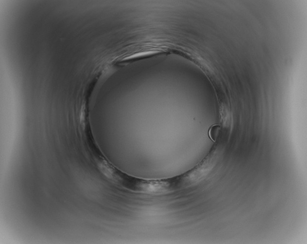 X0000113110670200908281410