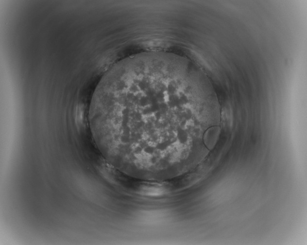 X0000113110671200908281410