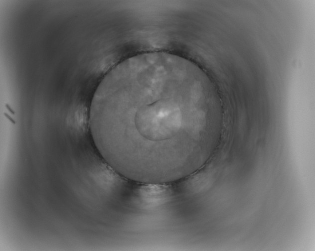 X0000113110672200908281410