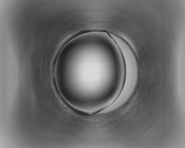 X0000113110673200908281409