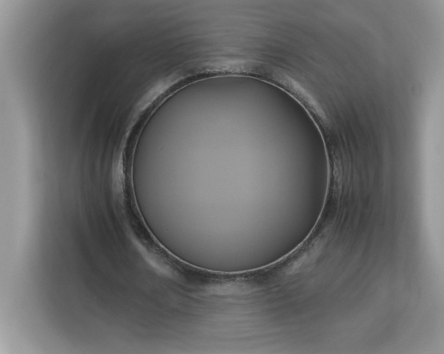 X0000113110674200908281409