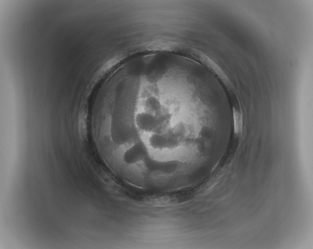 X0000113110675200908281409