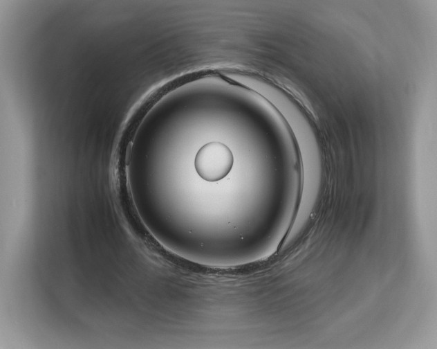 X0000113110676200908281409