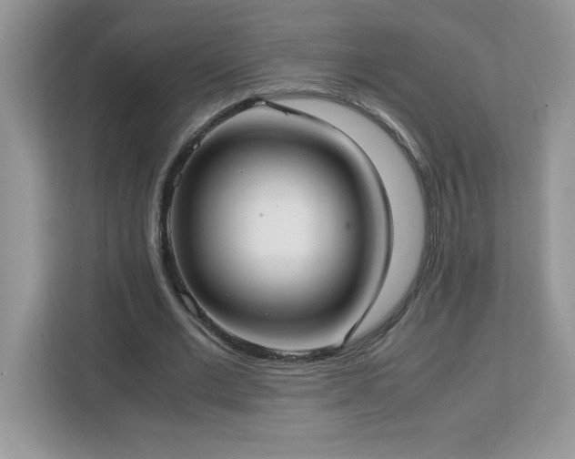 X0000113110677200908281409
