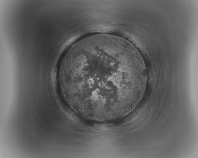 X0000113110679200908281409
