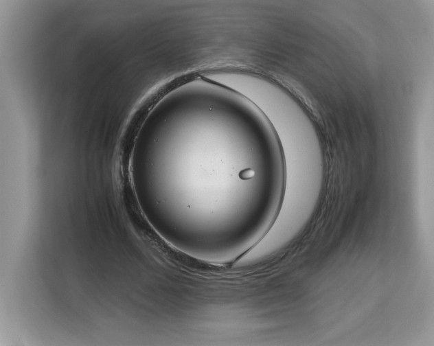 X0000113110680200908281409