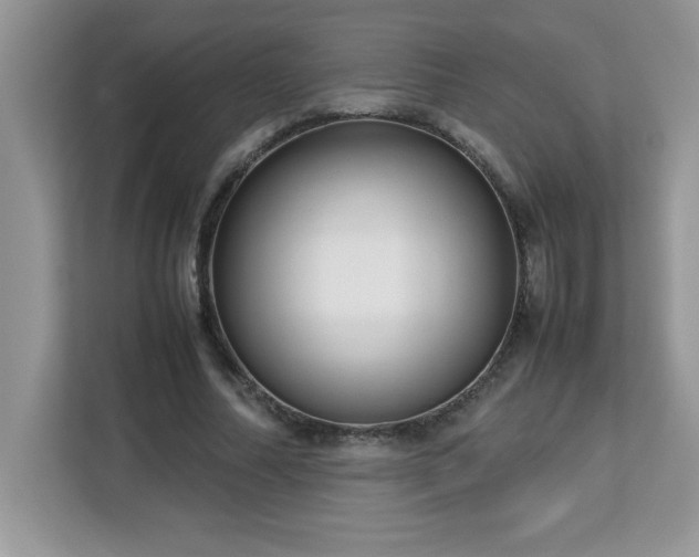 X0000113110682200908281409