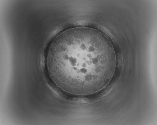 X0000113110683200908281409