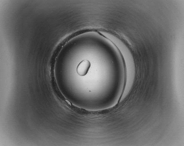 X0000113110684200908281409