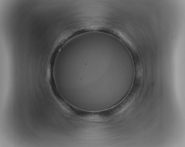 X0000113110685200908281409