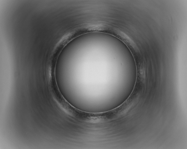 X0000113110686200908281409