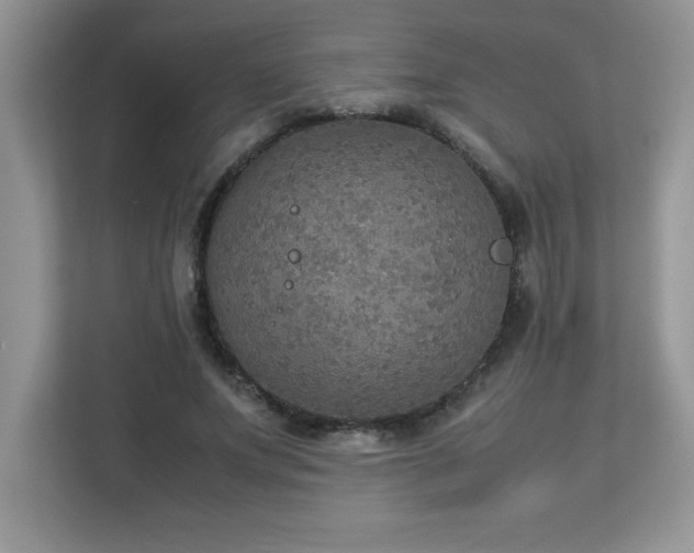 X0000113110687200908281409