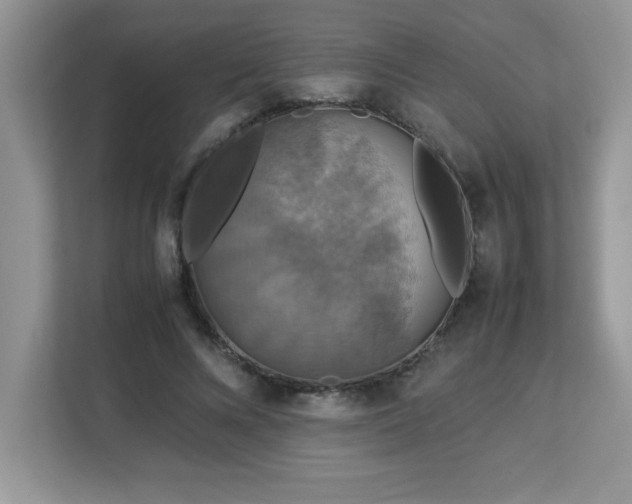 X0000113110688200908281409
