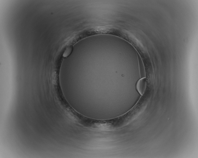 X0000113110689200908281409