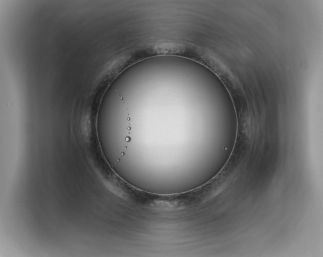 X0000113110690200908281409