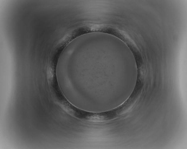 X0000113110691200908281409