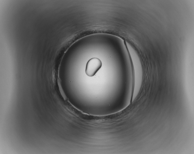 X0000113110692200908281409