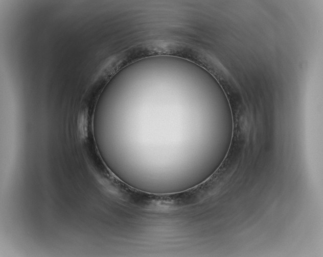 X0000113110694200908281409