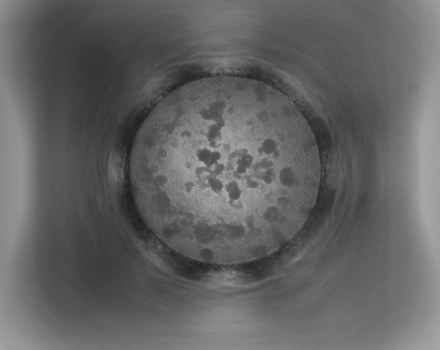 X0000113110695200908281409