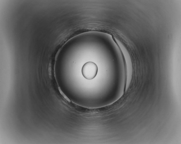 X0000113110696200908281409