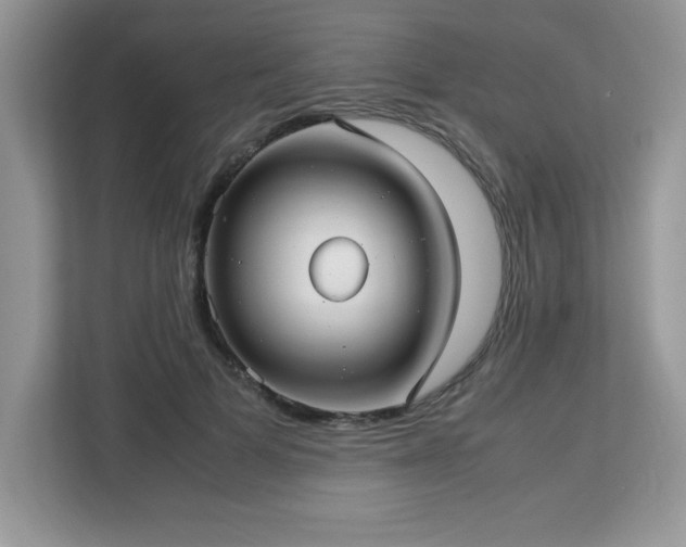 X0000113110697200908281409