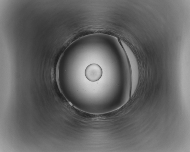 X0000113110700200908281409