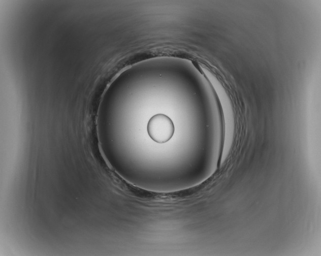 X0000113110701200908281409