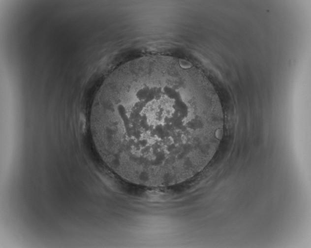 X0000113110703200908281409