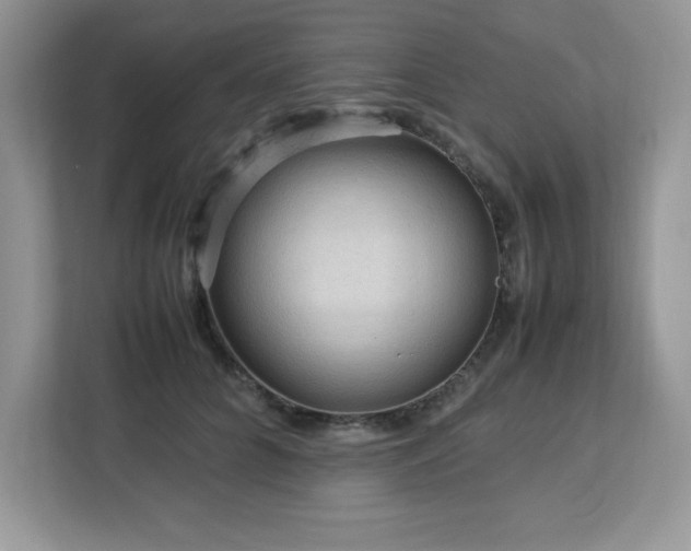 X0000113110704200908281409