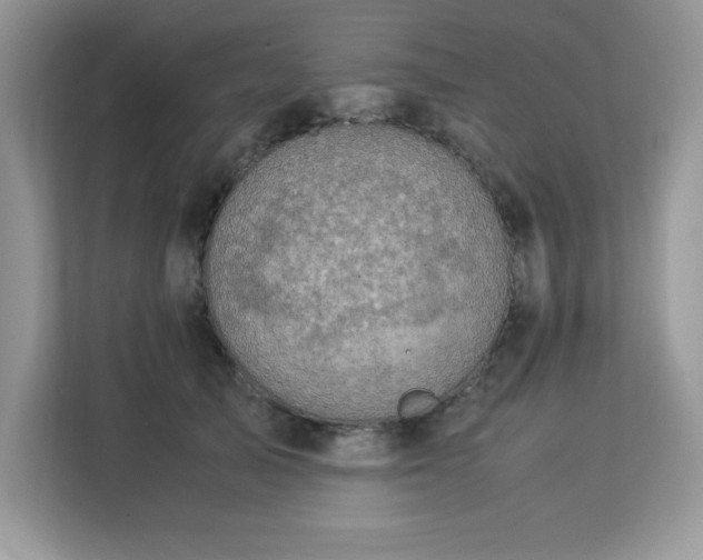 X0000113110705200908281409