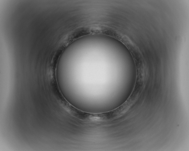 X0000113110706200908281409