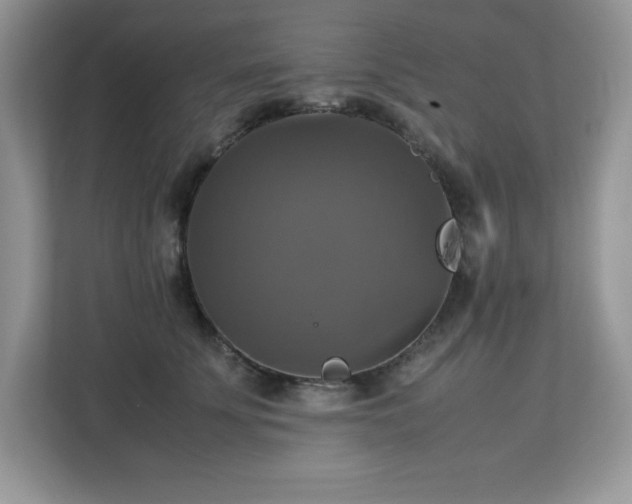 X0000113110707200908281409
