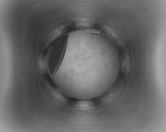 X0000113110708200908281409
