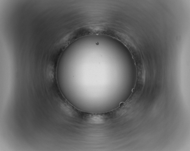 X0000113110710200908281409