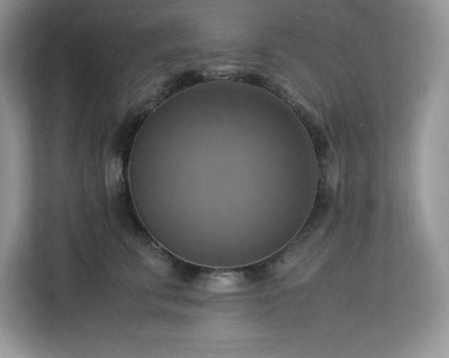 X0000113110711200908281409
