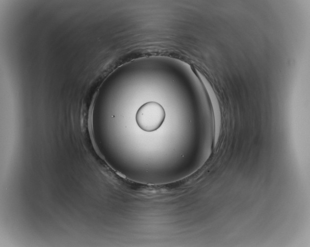 X0000113110712200908281409