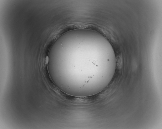 X0000113110713200908281409