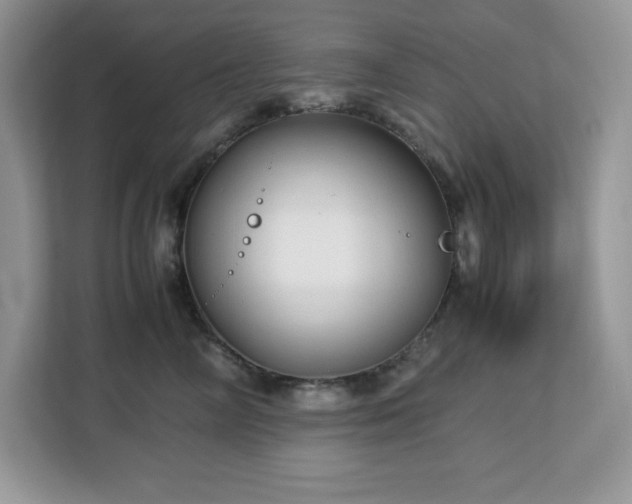 X0000113110714200908281409
