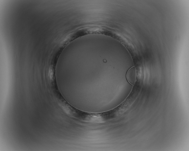 X0000113110715200908281409