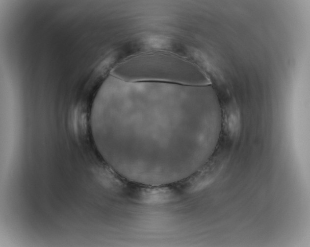 X0000113110716200908281409