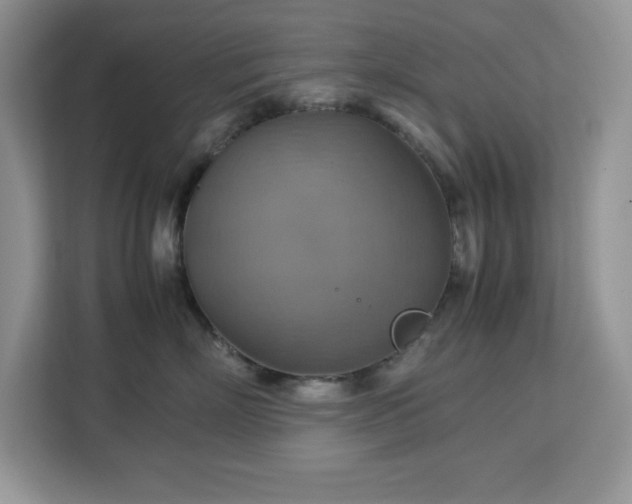 X0000113110718200908281409