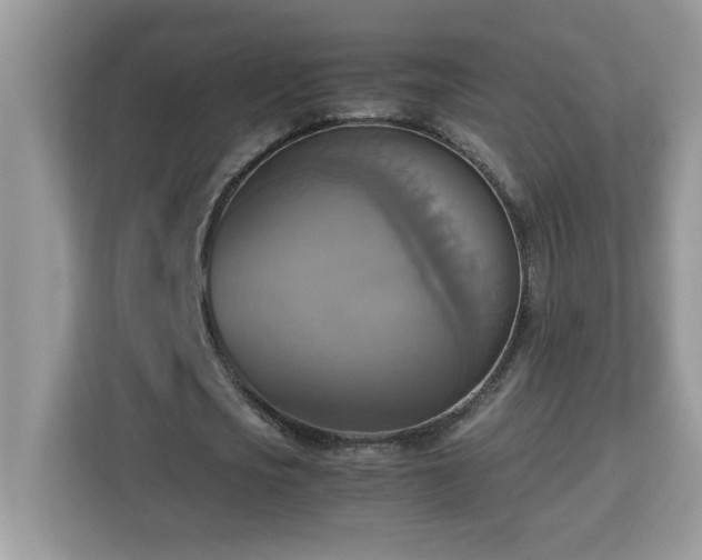 X0000113110721200908281408