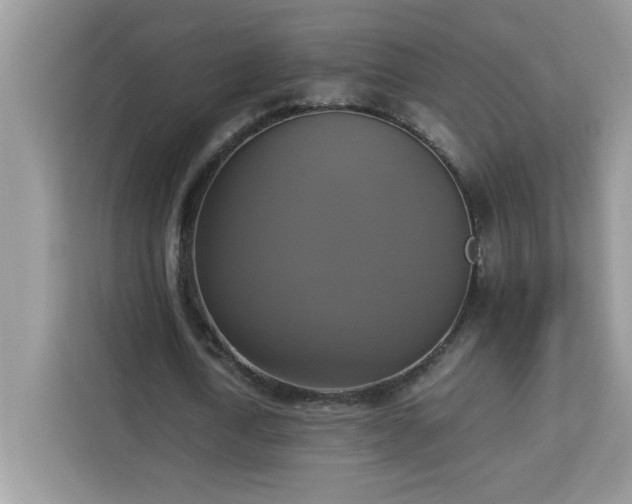 X0000113110722200908281408