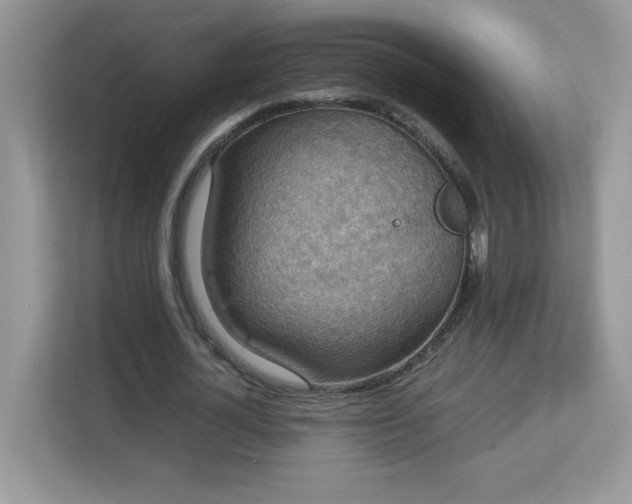 X0000113110724200908281408