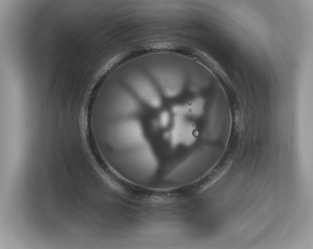 X0000113110725200908281408