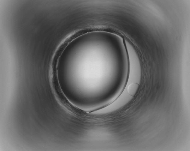 X0000113110726200908281408