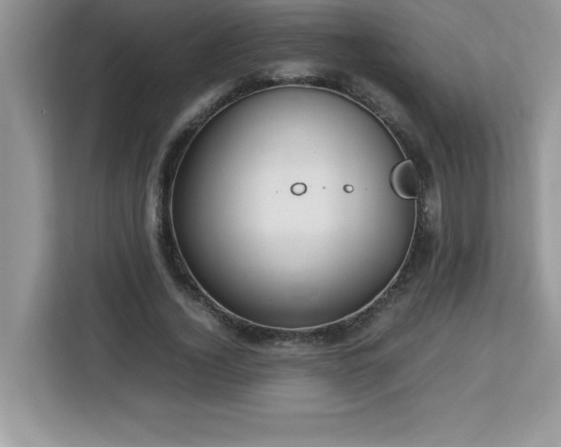 X0000113110732200908281408