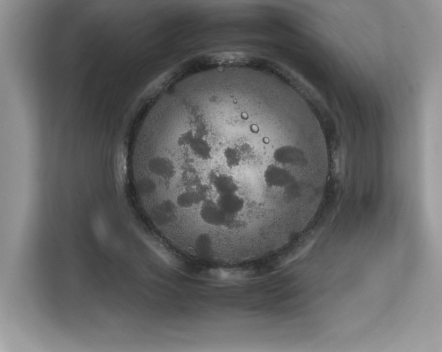 X0000113110733200908281408