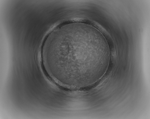 X0000113110734200908281408